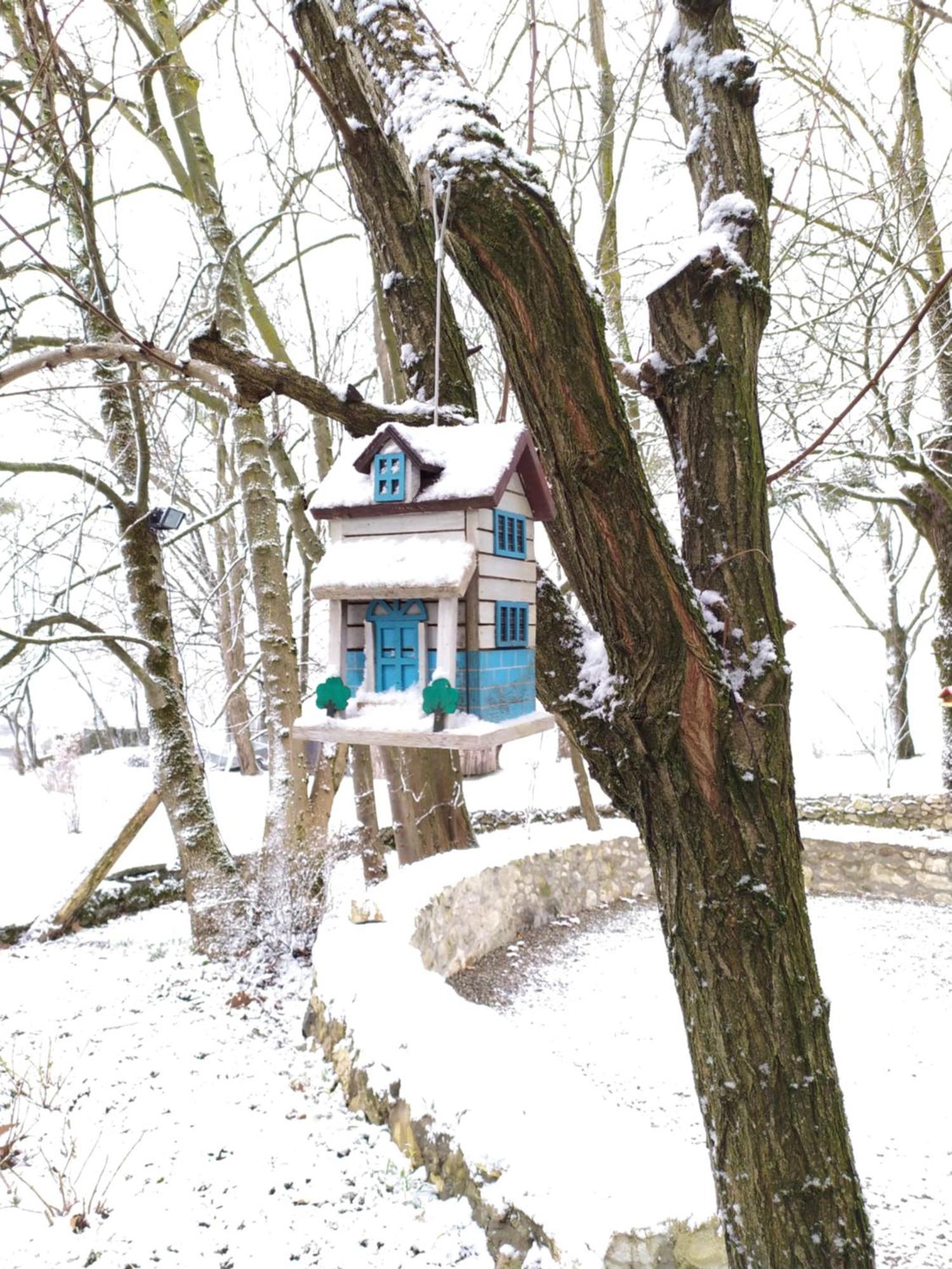 Gite Arthur Et Germaine Maisonnette A La Campagne Avec Un Grand Jardin Saint-Jeoire-Prieure Exteriör bild